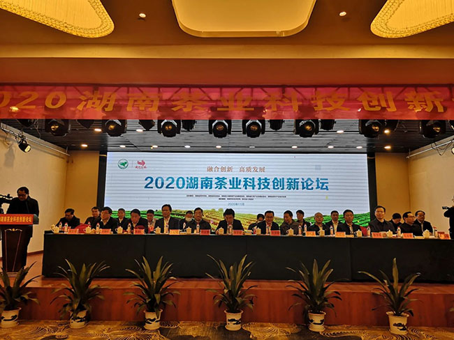 2020湖南茶業(yè)科技創(chuàng)新論壇在新化縣舉行